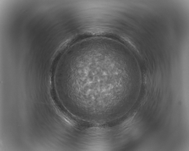 X0000063510733200601201438