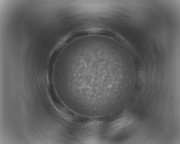 X0000063510734200601201438