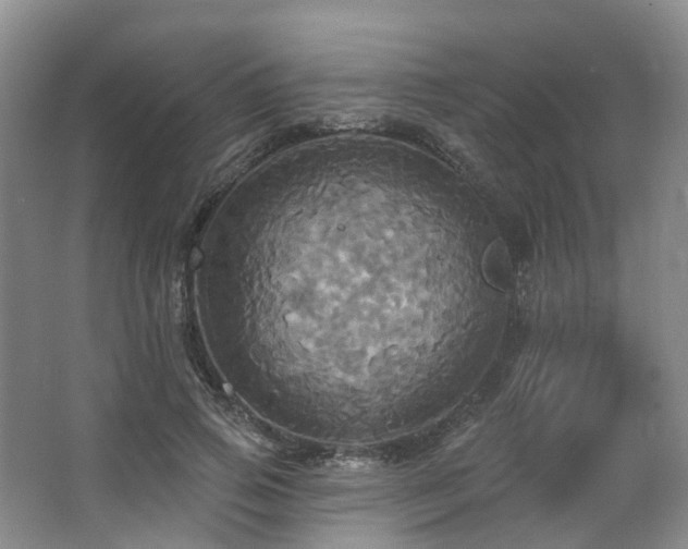 X0000063510741200601201438