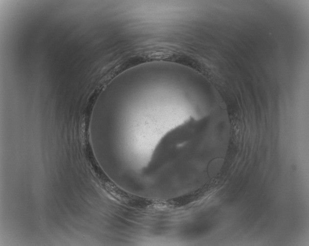 X0000063510745200601201438