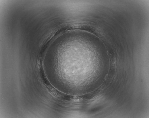 X0000063510746200601201438