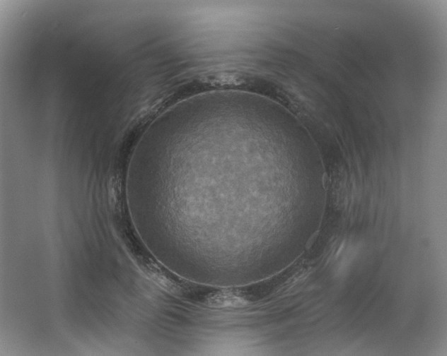 X0000063510747200601201438