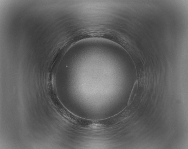X0000063510748200601201438
