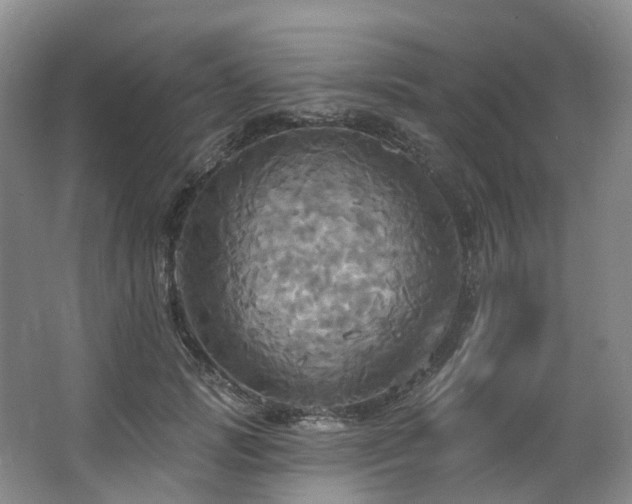 X0000063510749200601201438