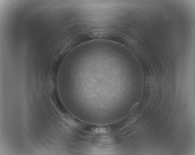 X0000063510751200601201438
