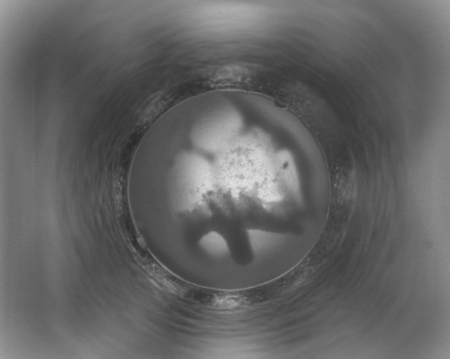 X0000063510753200601201438