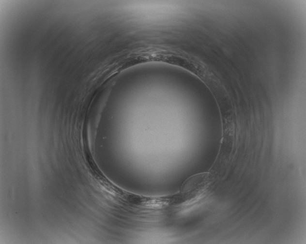 X0000063510754200601201438