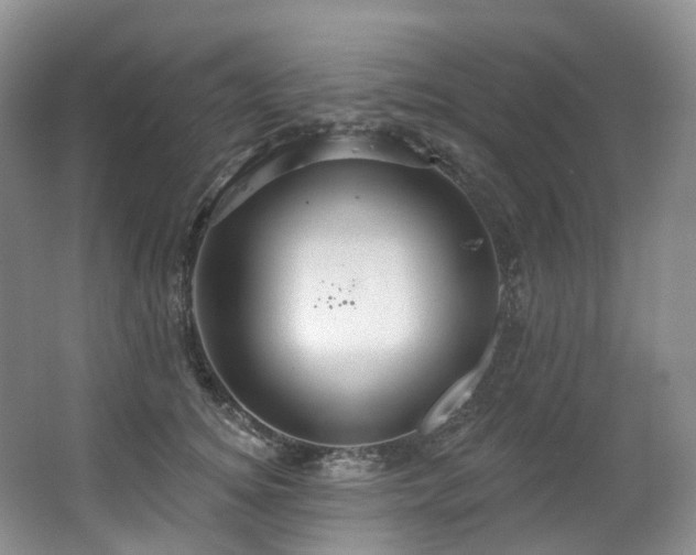 X0000063510756200601201438