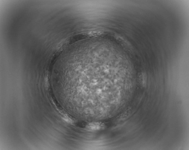 X0000063510757200601201438