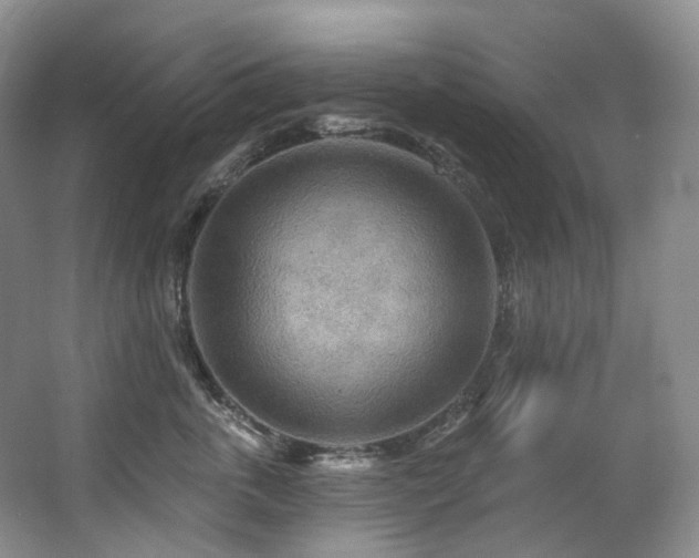 X0000063510763200601201439