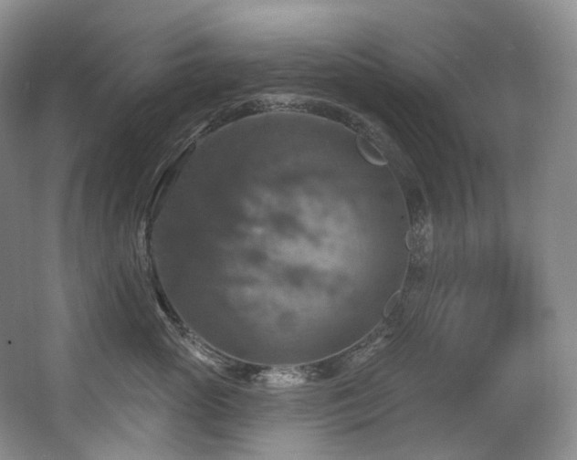 X0000063510765200601201439