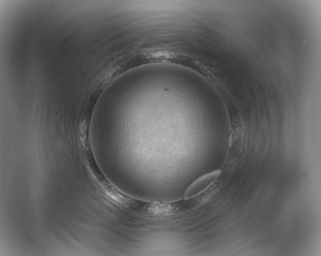 X0000063510767200601201439
