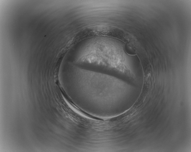 X0000063510772200601201438