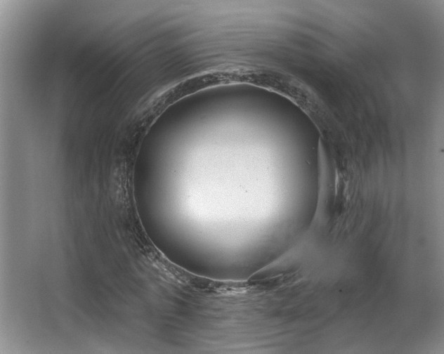 X0000063510773200601201438