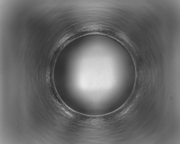 X0000063510778200601201438