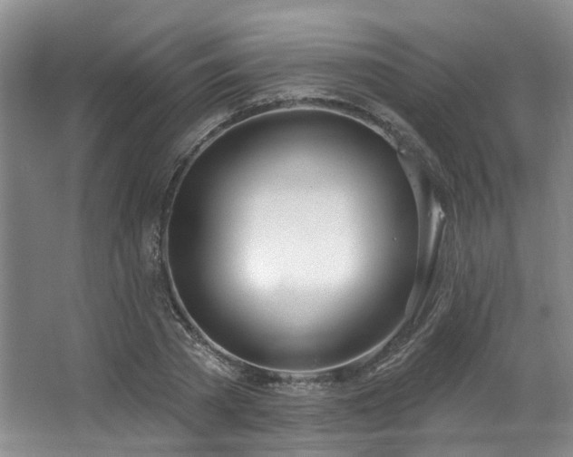 X0000063510785200601201438