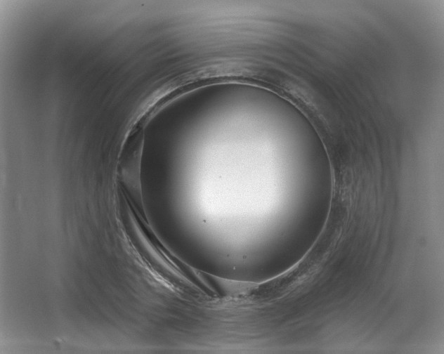 X0000063510786200601201438