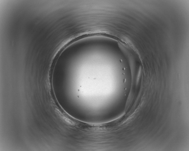 X0000063510789200601201437