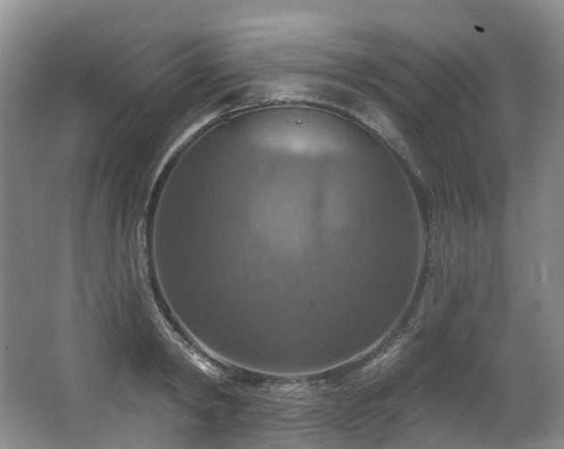 X0000063510798200601201437