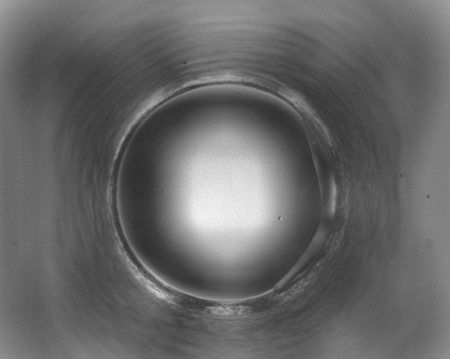 X0000063510805200601201437