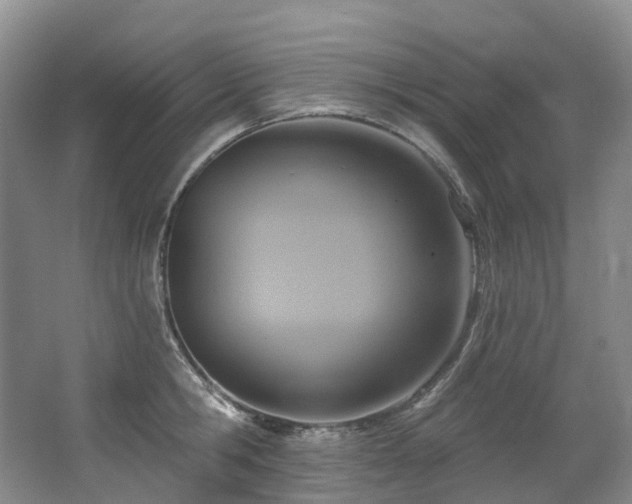 X0000063510806200601201437