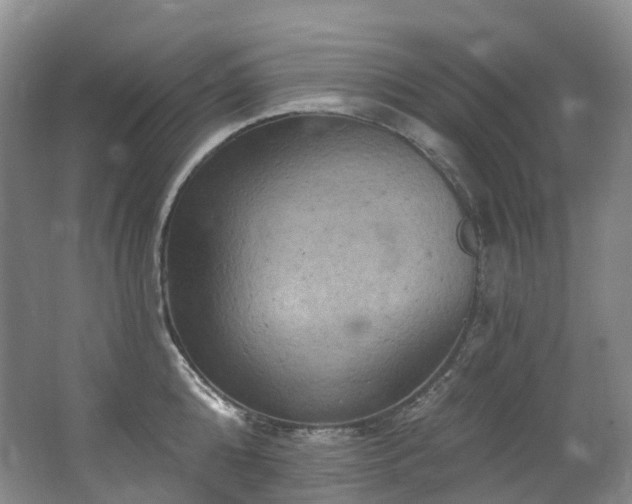 X0000063510808200601201437
