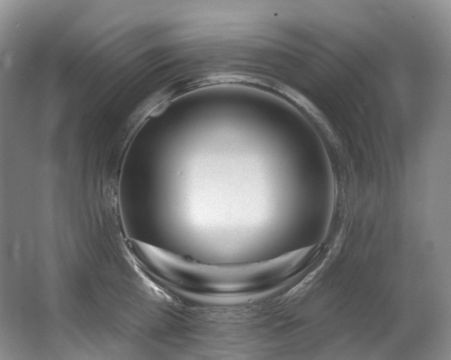X0000063510809200601201437