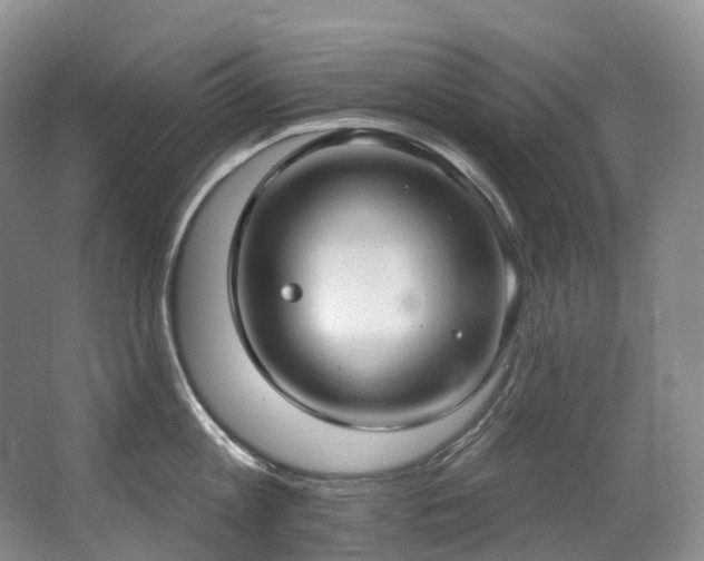 X0000063510813200601201437