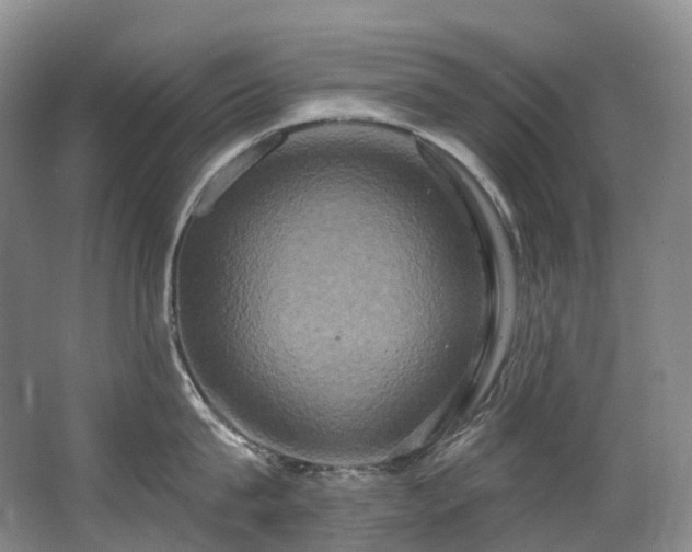 X0000063510815200601201437