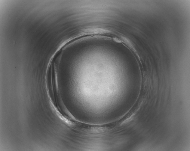 X0000063510843200601201437