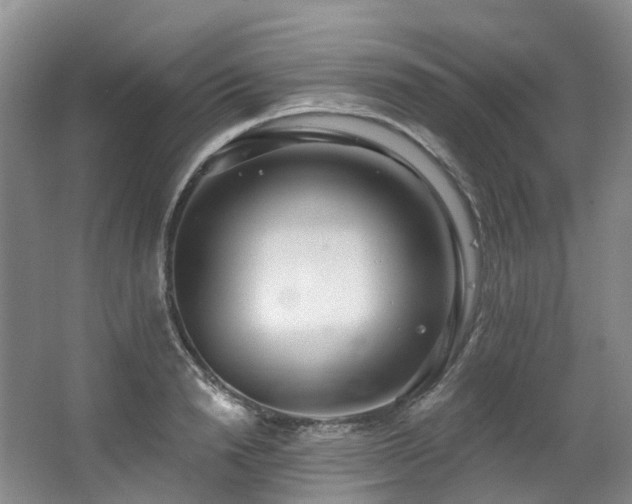 X0000063510846200601201437