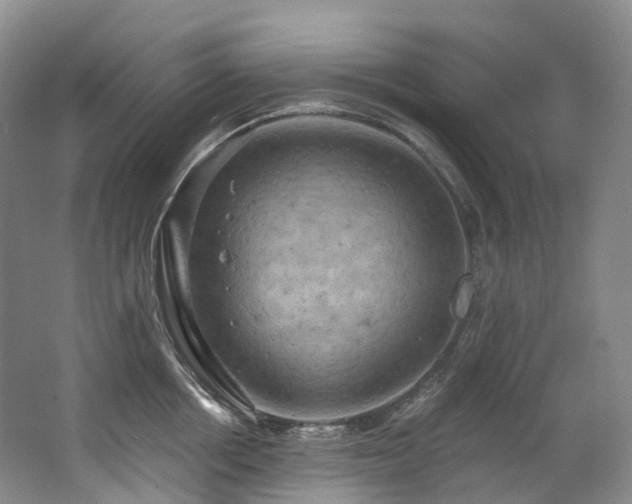 X0000063510858200601201437