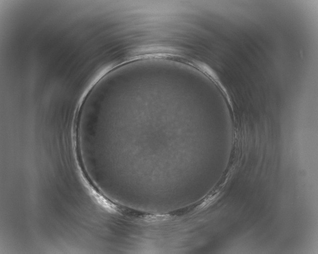 X0000063510859200601201437