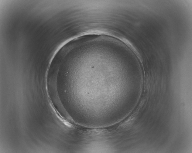 X0000063510862200601201437