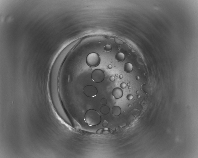 X0000063510863200601201437