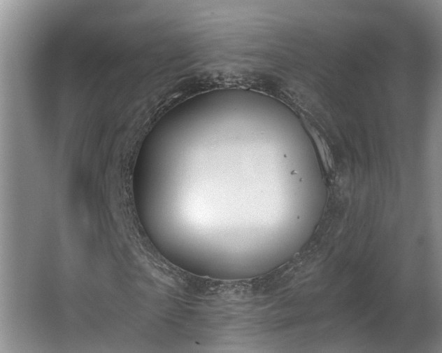 X0000063510865200601201436