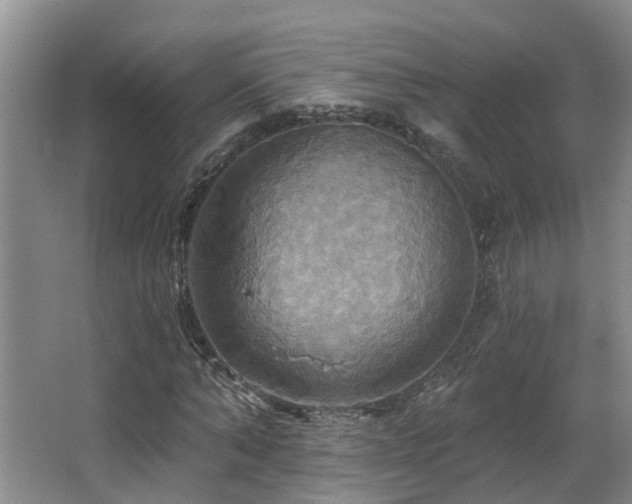 X0000063510870200601201436