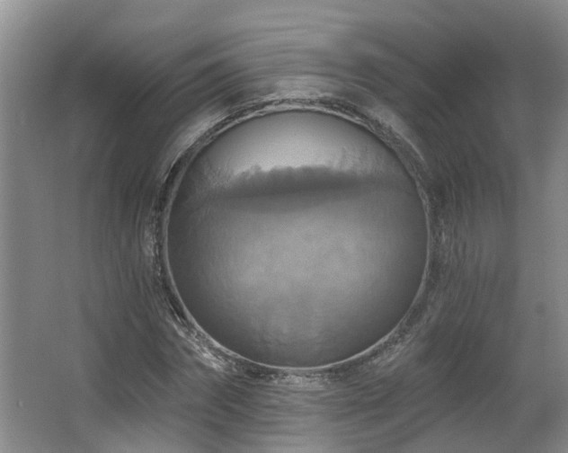 X0000063510874200601201436
