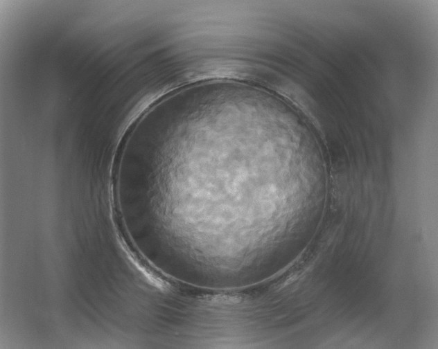 X0000063510890200601201436