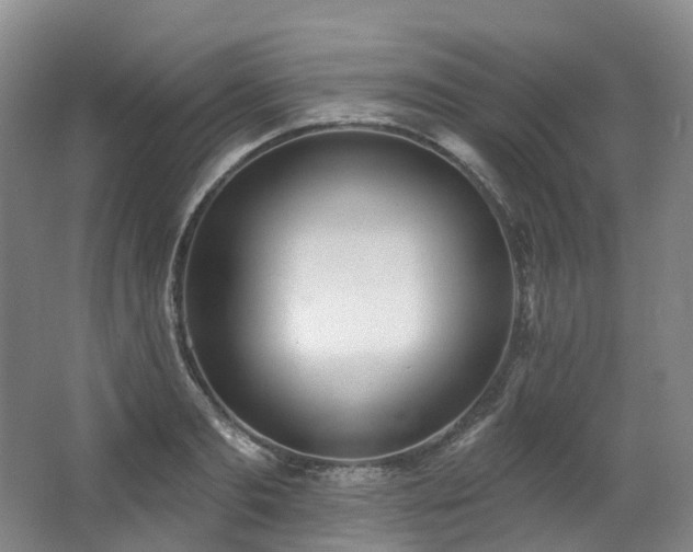 X0000063510893200601201436