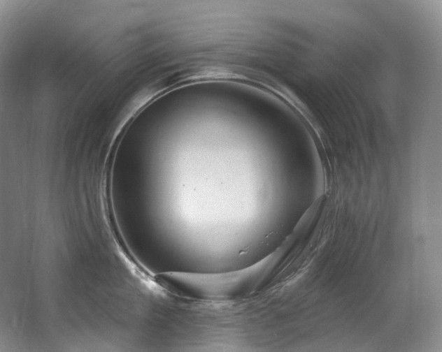 X0000063510909200601201435