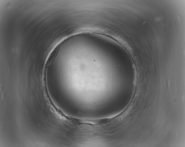 X0000063510912200601201435