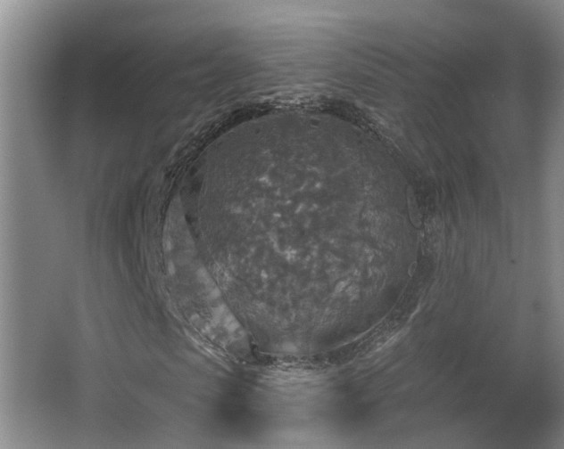X0000063510913200601201435