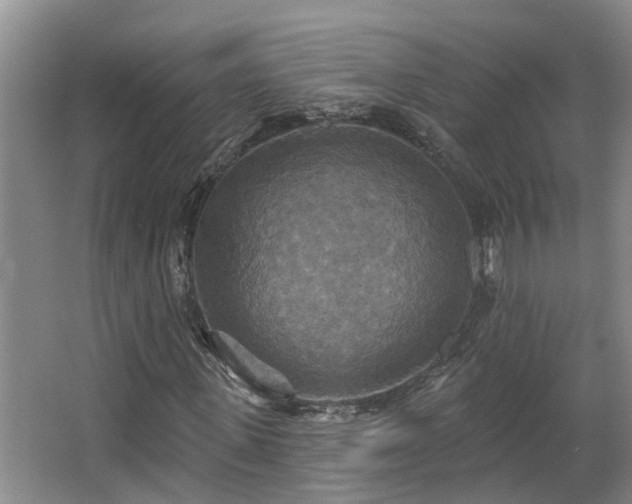 X0000063510915200601201435
