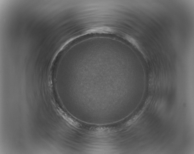 X0000063510923200601201435