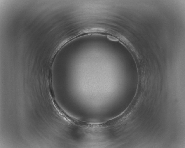X0000063510945200601201435