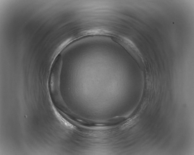 X0000063510946200601201435
