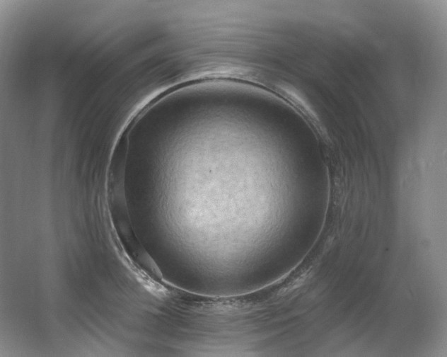 X0000063510948200601201435
