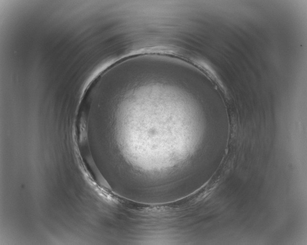 X0000063510952200601201435