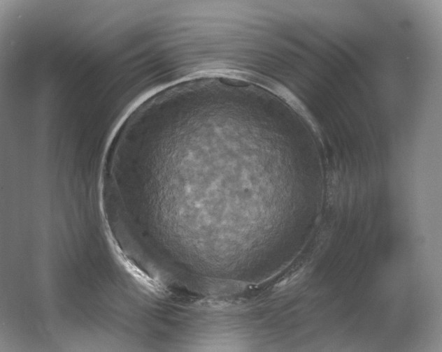 X0000063510955200601201435